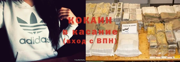дживик Богородицк
