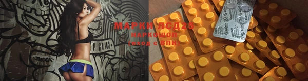 шишки Россошь