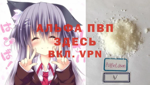 дживик Богородицк